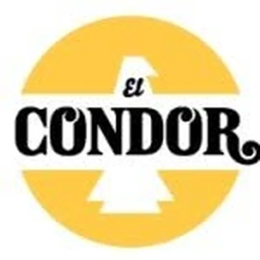 @elcondorla profile image