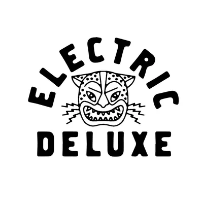 @electricdeluxerecorders profile image