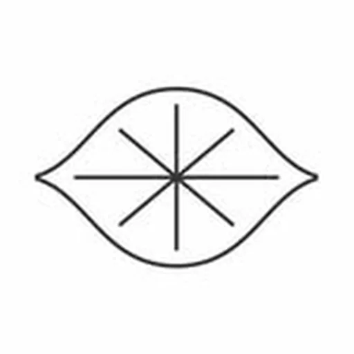 @electriclemonnyc profile image