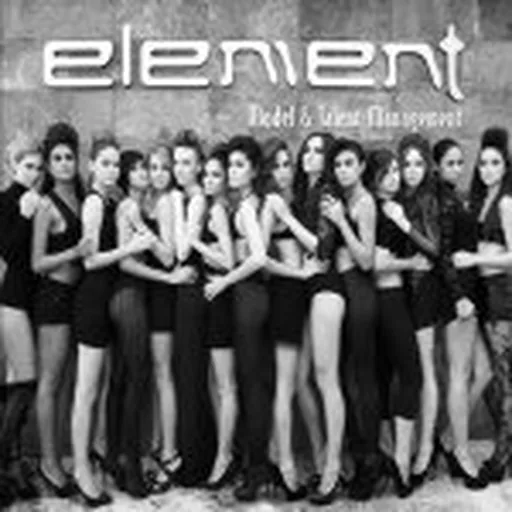 @elementmodels profile image