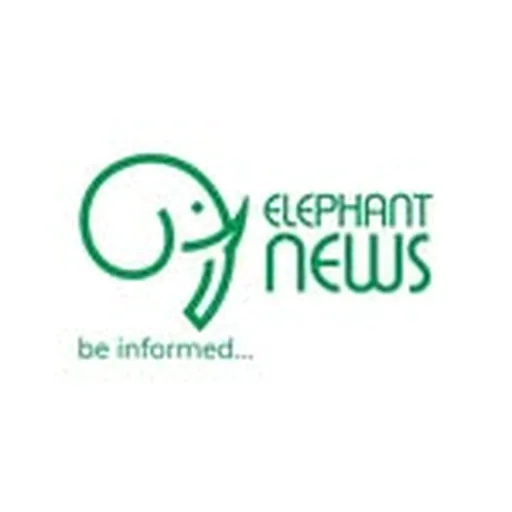 @elephantnewsgh profile image