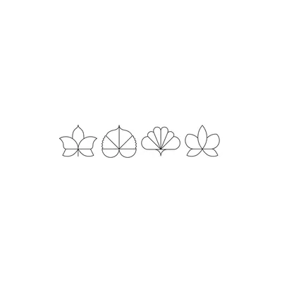 @elevenmadisonpark profile image