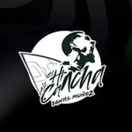 @elhinchaenlacancha profile image