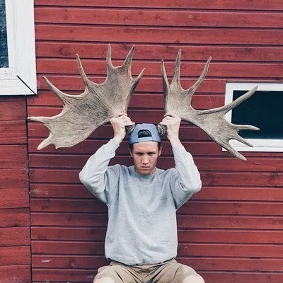 @elivosk profile image