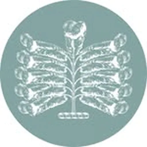 @ellenboroughpk profile image