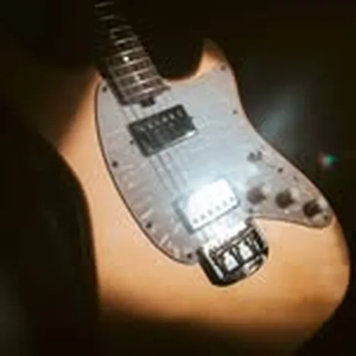 @elliottguitars profile image