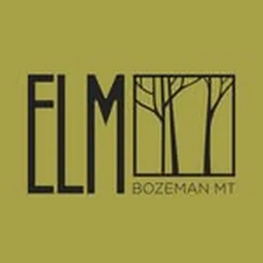 @elmbozeman profile image