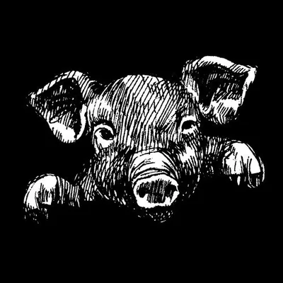 @elpuercodeoro profile image