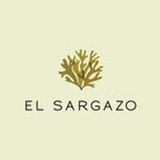 @elsargazo profile image