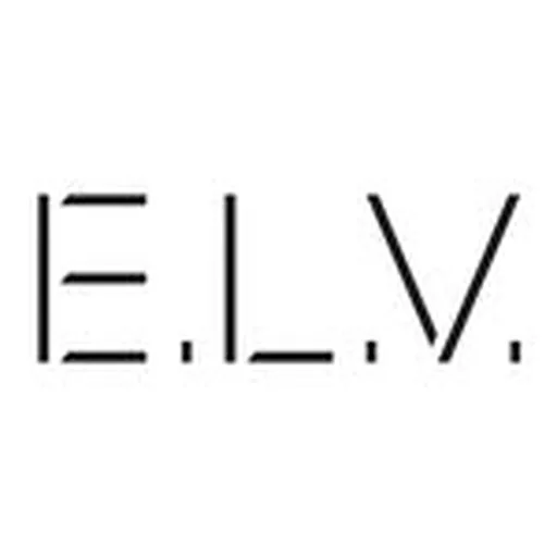 @elvdenim profile image