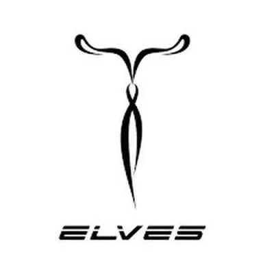 @elves_bikes_uk profile image