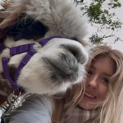 @emilyrose.traveltales profile image