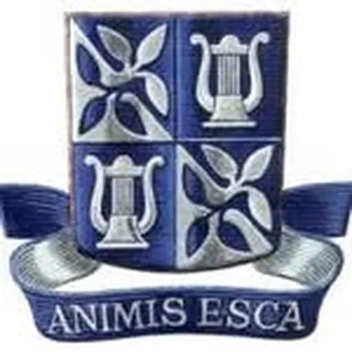 @emusufba profile image