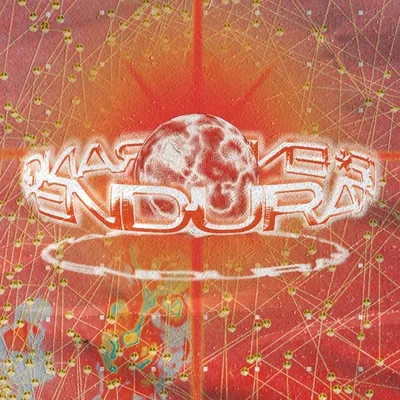 @endurance.cph profile image