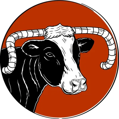 @enduranceconspiracy profile image