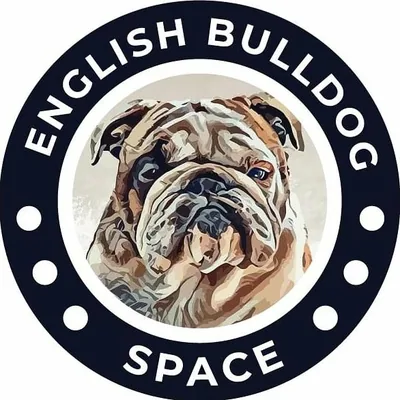 @englishbulldog.space profile image