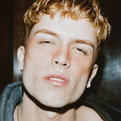 @enrilaert profile image