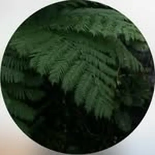 @eow__2 profile image