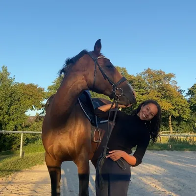 @equestrian.vogue profile image