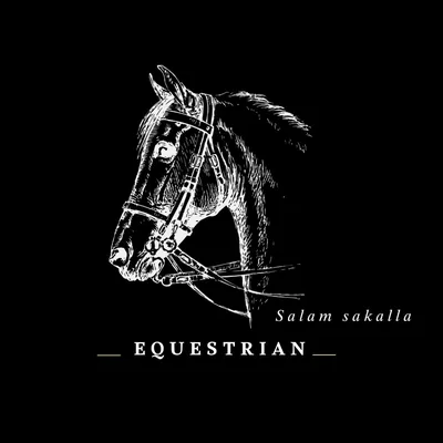 @equestrianloverse_in_syria profile image