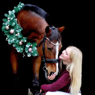 @equihelpcz profile image