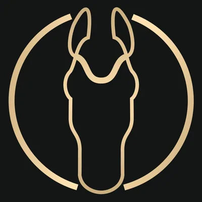 @equimarus profile image