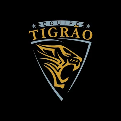@equipe_tigrao profile image