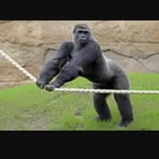 @ericgoodmanft profile image