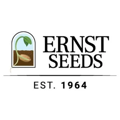 @ernstseeds profile image