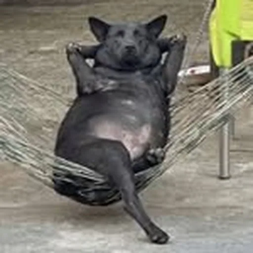 @errortica_ profile image