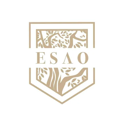 @esao_spain profile image
