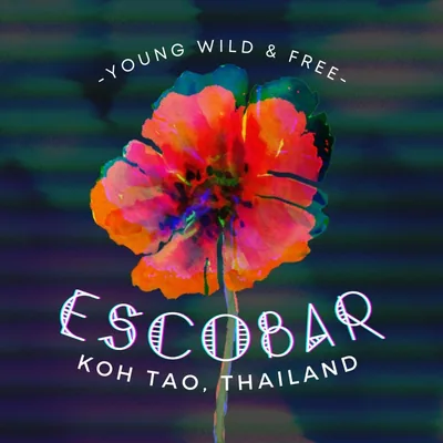 @escobarkohtao profile image