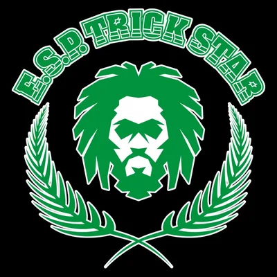 @esp_trickstar profile image