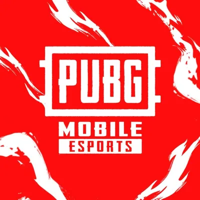 @esportspubgmobile_mea profile image