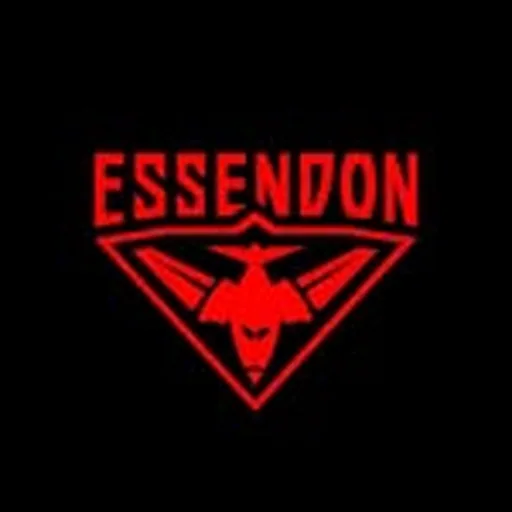 @essendonfc profile image