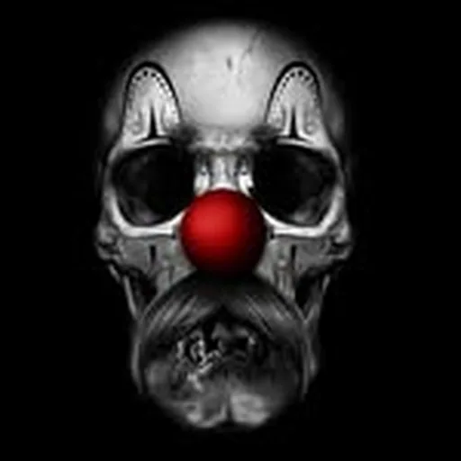 @estevanoriolshop profile image