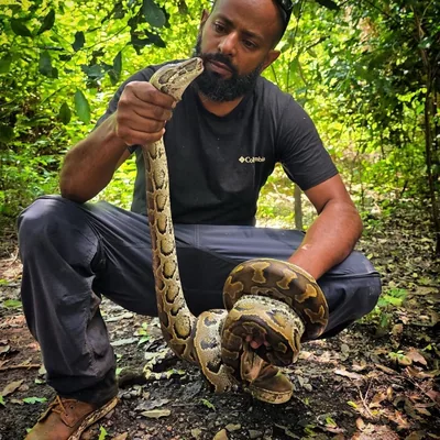 @ethiopian.wildlife profile image