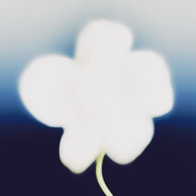 @etiennefrancey profile image