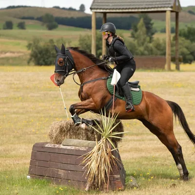 @eventingcannon profile image