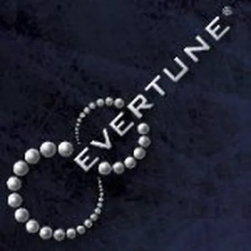 @evertune profile image
