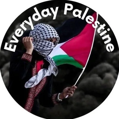 @everydaypalestine profile image