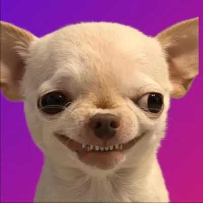 @evildogi profile image