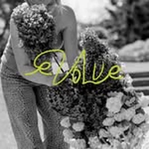 @evolve.floral profile image