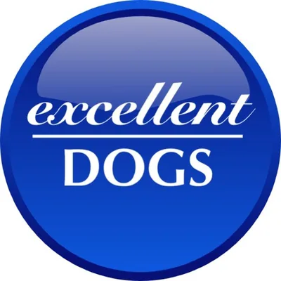 @excellent_dogs profile image