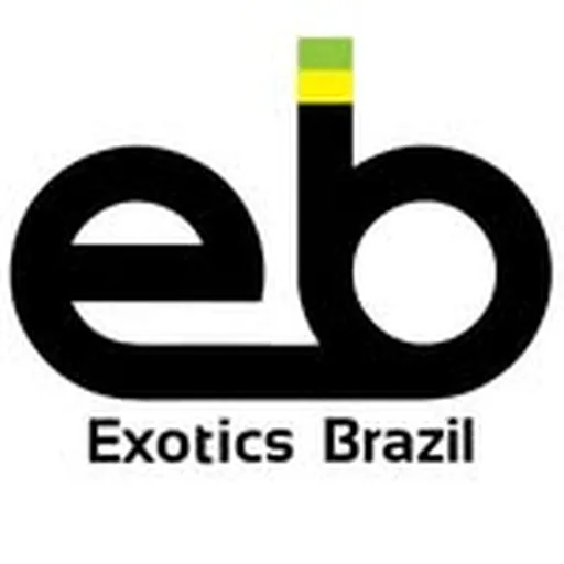 @exoticsbrazil profile image