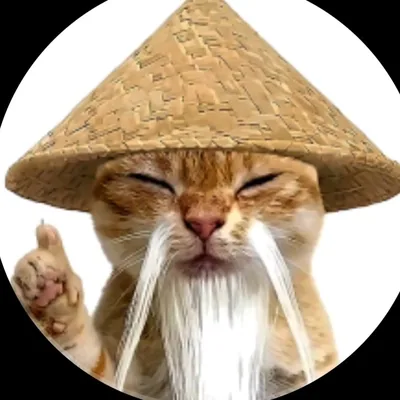 @expl.aintbybob profile image