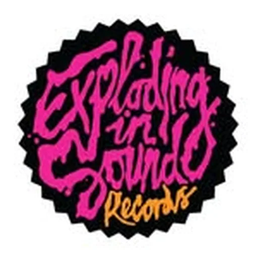 @explodinginsound profile image