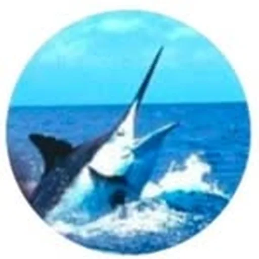 @extrafishingshop profile image