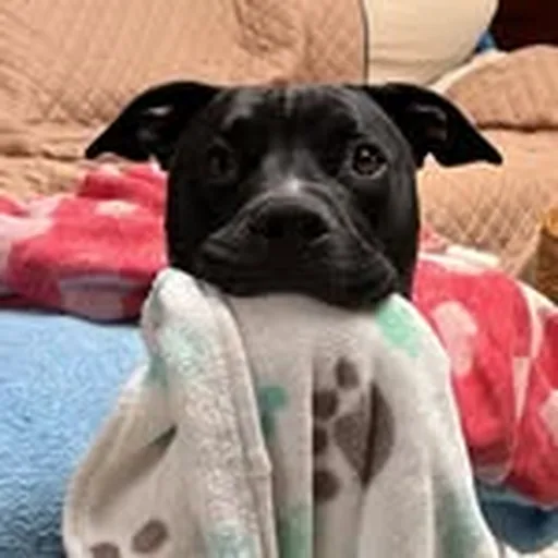 @extrapintobeans profile image