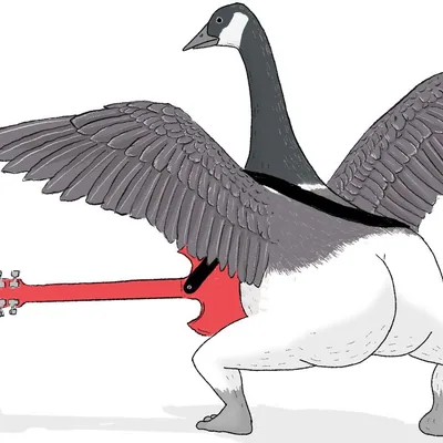 @extremelyaccuratebirds profile image